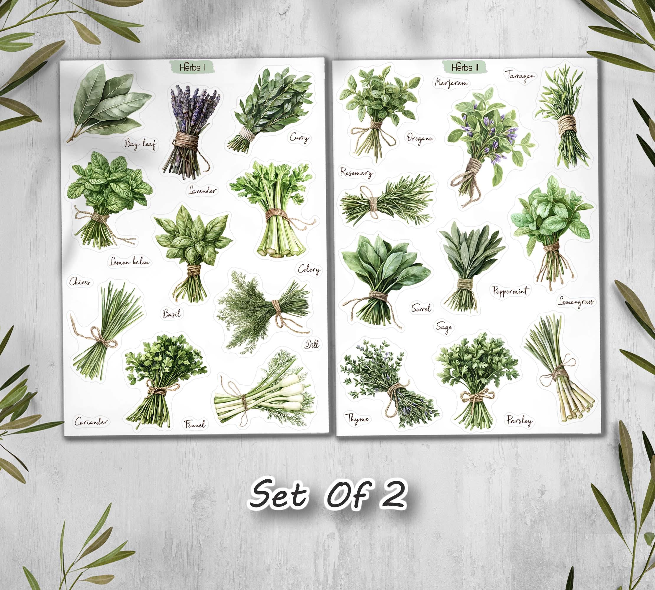 Herbs Cottagecore Stickers