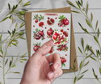Pomegranate Sticker Sheet. Summer Fruit Stickers. Planner, Scrapbooking Stickers