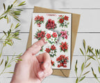 Poinsettia Christmas Stickers