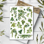 Ivy Stickers