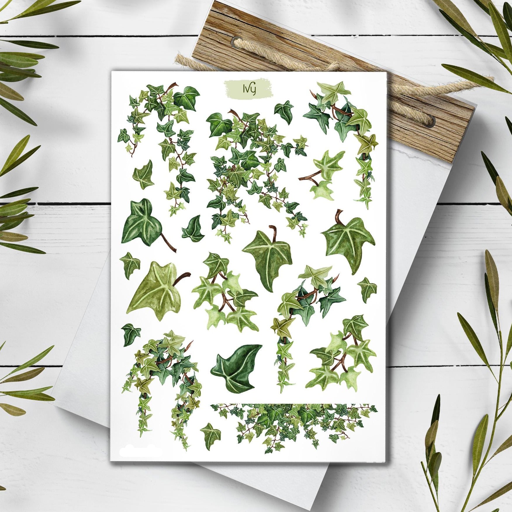 Ivy Stickers