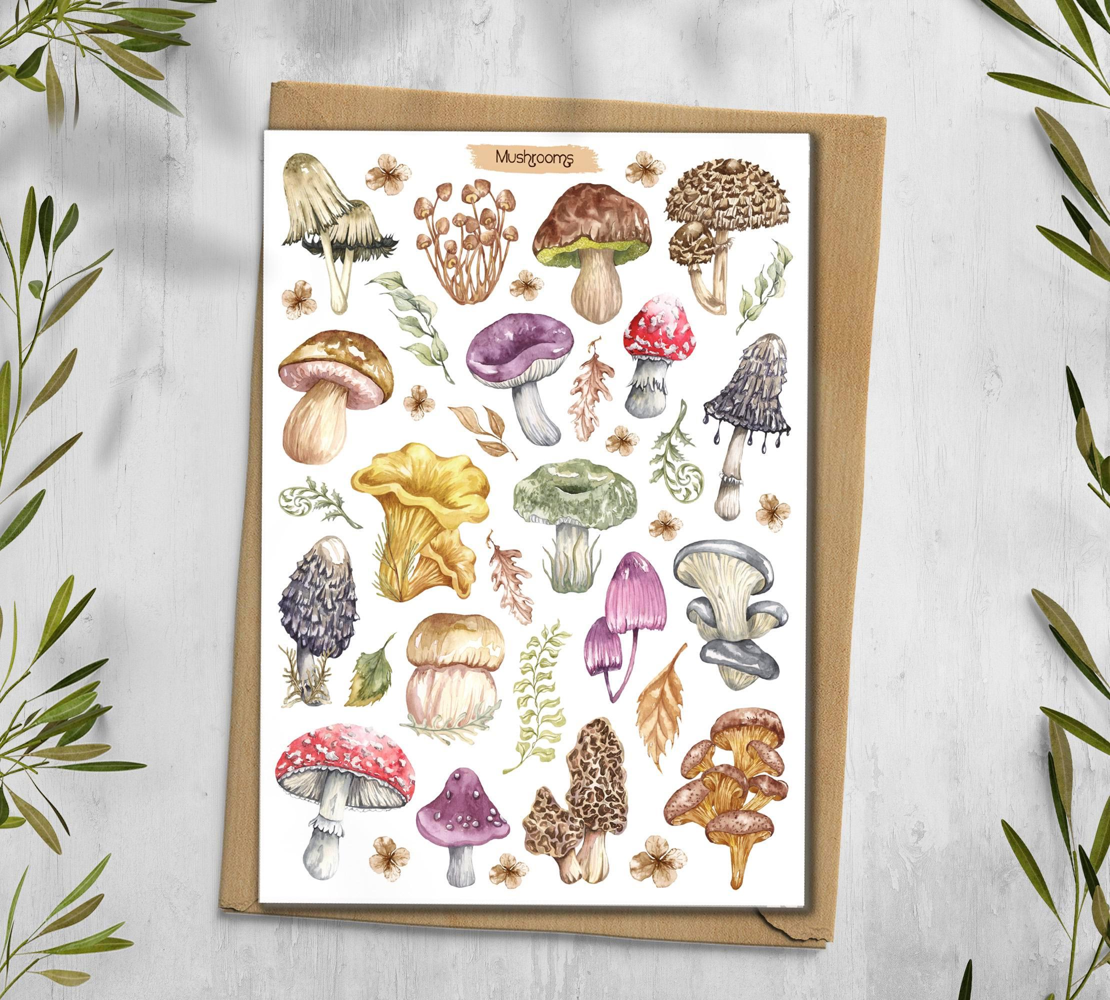 Mushroom Sticker Sheet. Autumn Foraging, Woodland Fungi Stickers. Scrapbooking, Planner Stickers