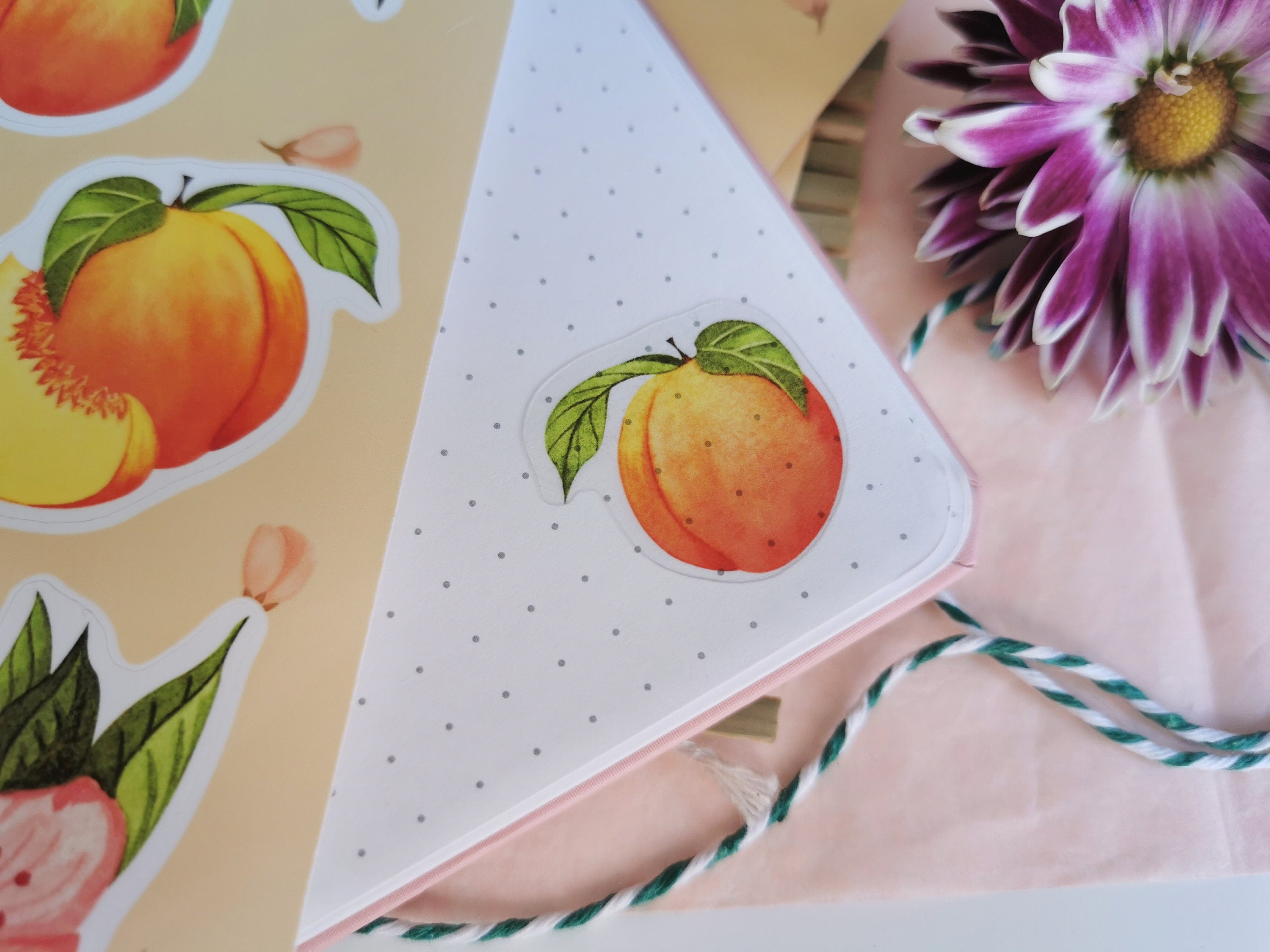 Peach Stickers. Peach Sticker Pack. Peach tree Stickers. Bullet Journal. Peach Sticker Sheet. Fruit Stickers. Summer Stickers