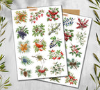 Autumn Foraging Stickers (00100)