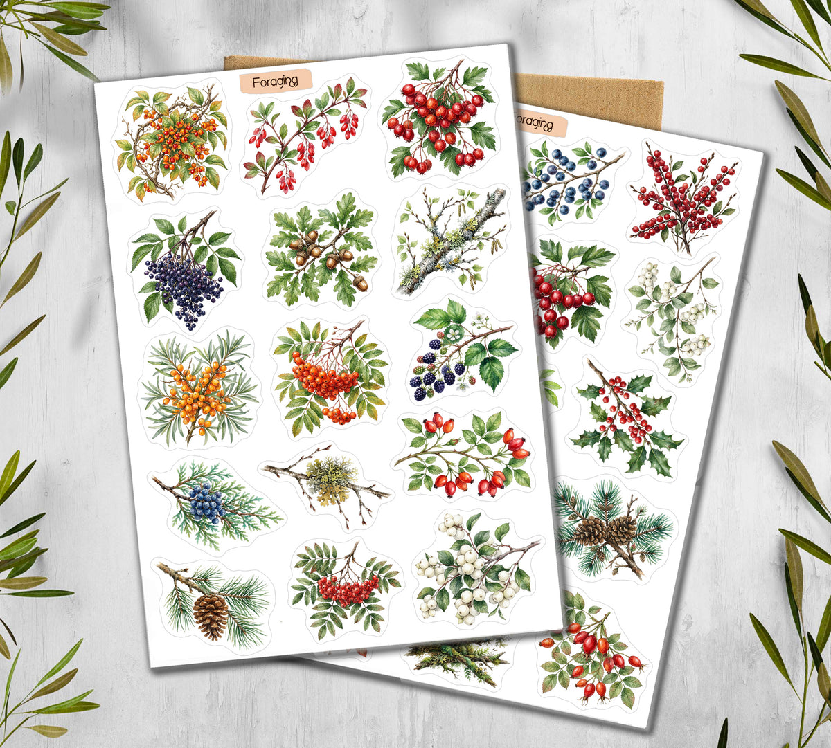 Autumn Foraging Stickers (00100)