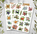 Autumn Foraging Stickers (00100)