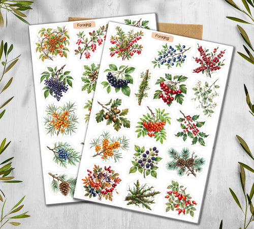 Autumn Foraging Stickers (00100)