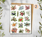 Autumn Foraging Stickers (00100)