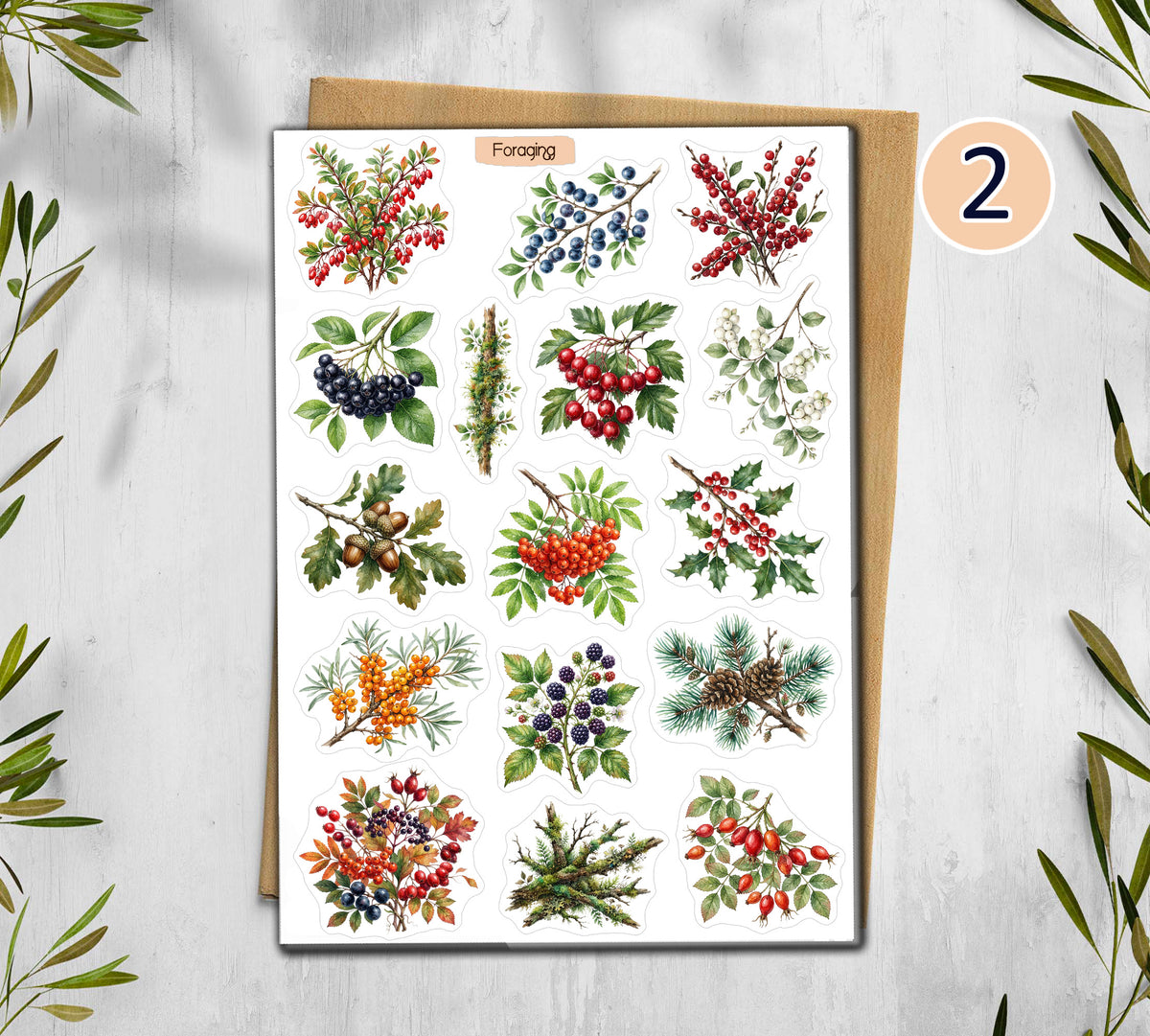 Autumn Foraging Stickers (00100)
