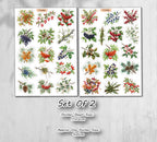 Autumn Foraging Stickers (00100)