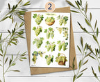 Grape Sticker Sheet: Foraged Summer Planner Stickers