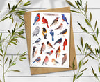 Winter Birds Stickers