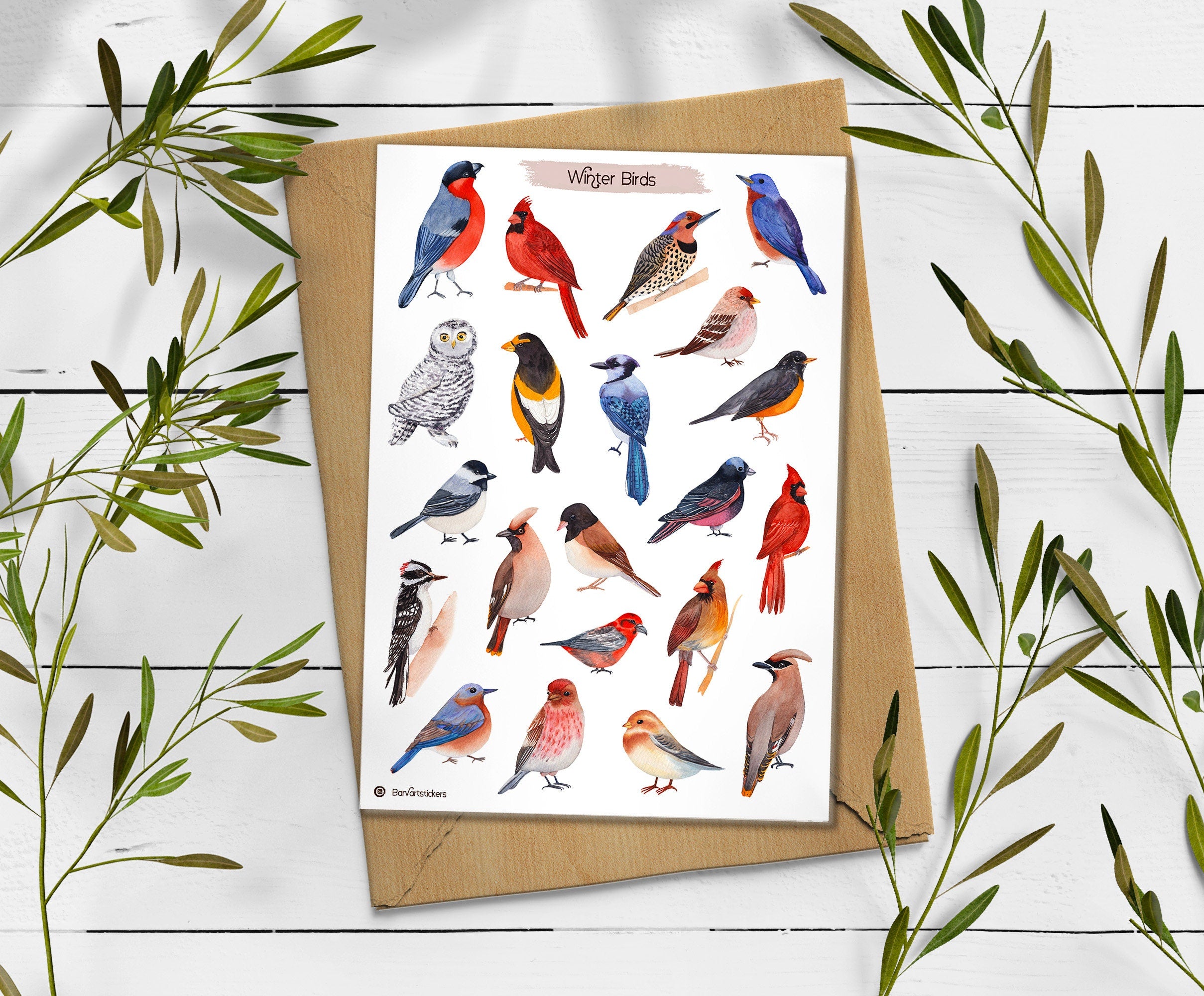 Winter Birds Stickers