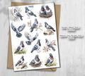 Pigeon Stickers