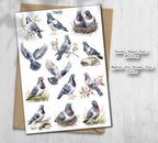 Pigeon Stickers