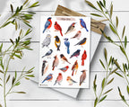 Winter Birds Stickers