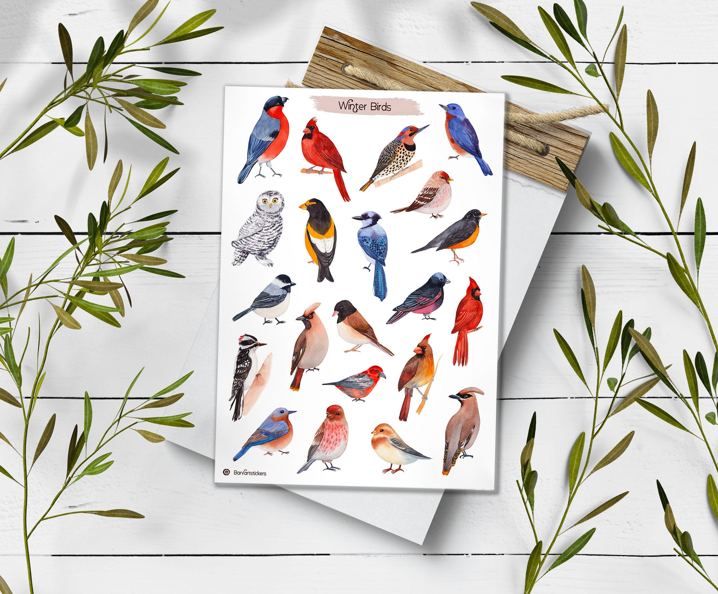 Winter Birds Stickers