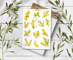 Forsythia Stickers: Yellow Spring Blossom Planner Stickers