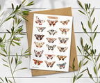 Luna Moth Sticker Sheet: Rainbow Insect Decals for Journaling