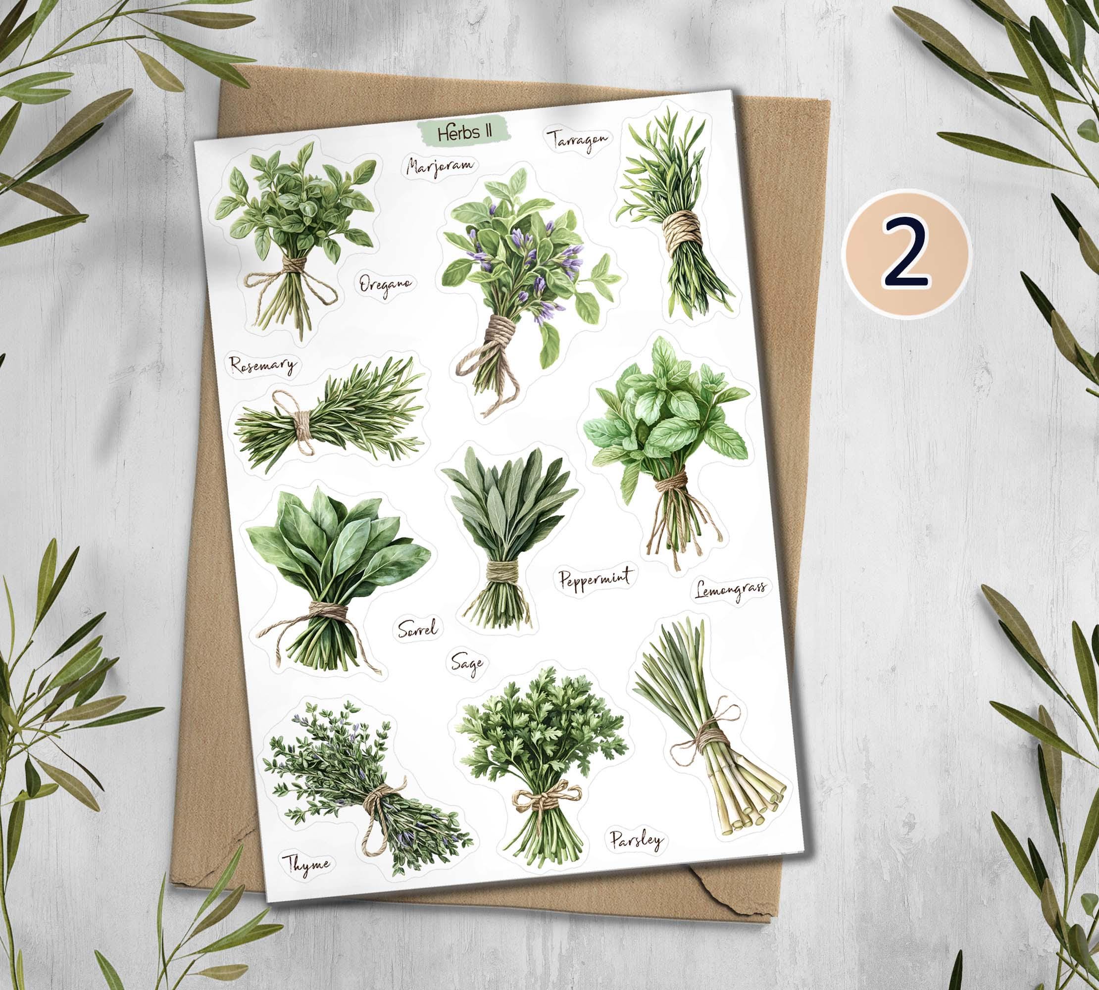 Herbs Cottagecore Stickers
