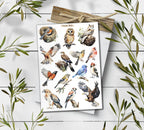 Forest Birds Stickers. Birds Sticker Pack. Wild Birds Stickers. Garden Birds Bullet Journal. Woodland Sticker Sheet. Scrapbooking