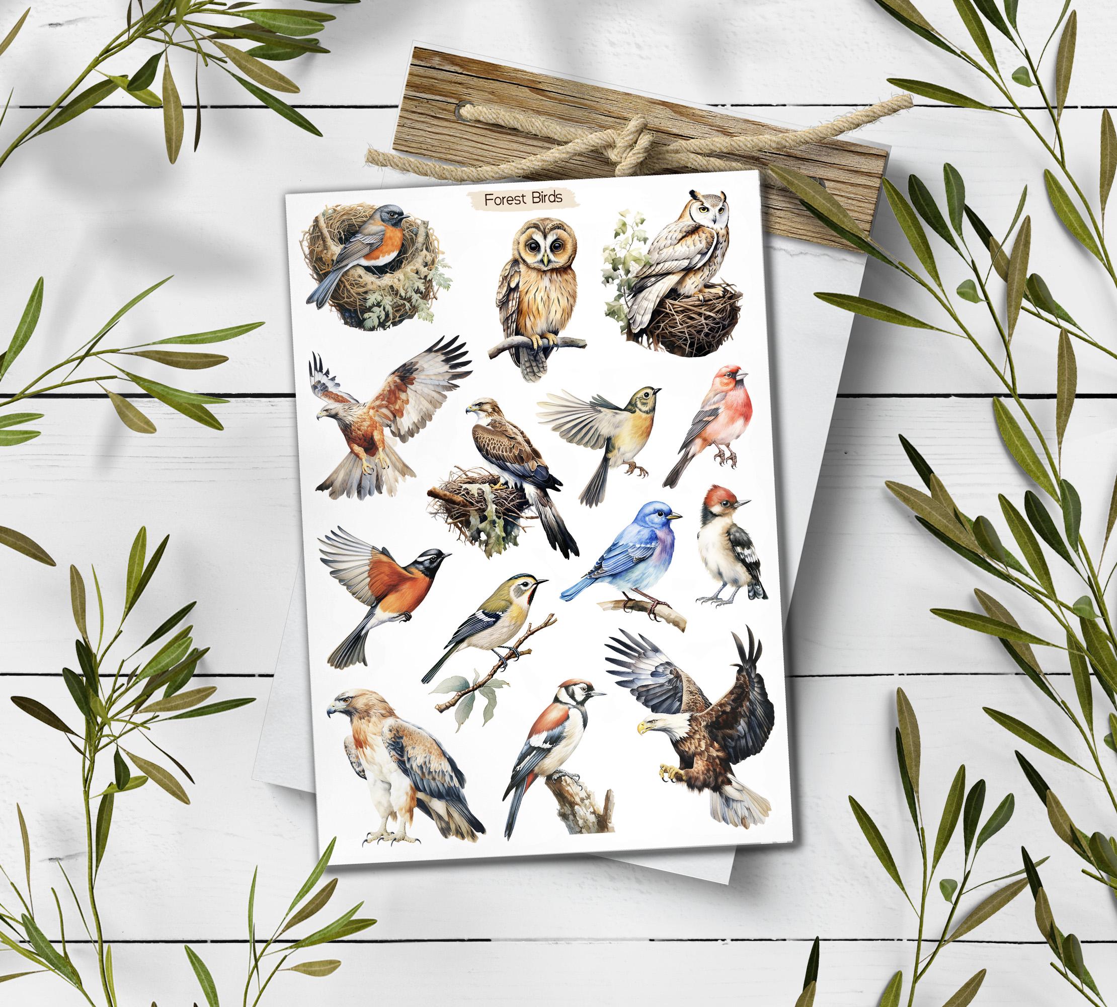 Forest Birds Stickers. Birds Sticker Pack. Wild Birds Stickers. Garden Birds Bullet Journal. Woodland Sticker Sheet. Scrapbooking
