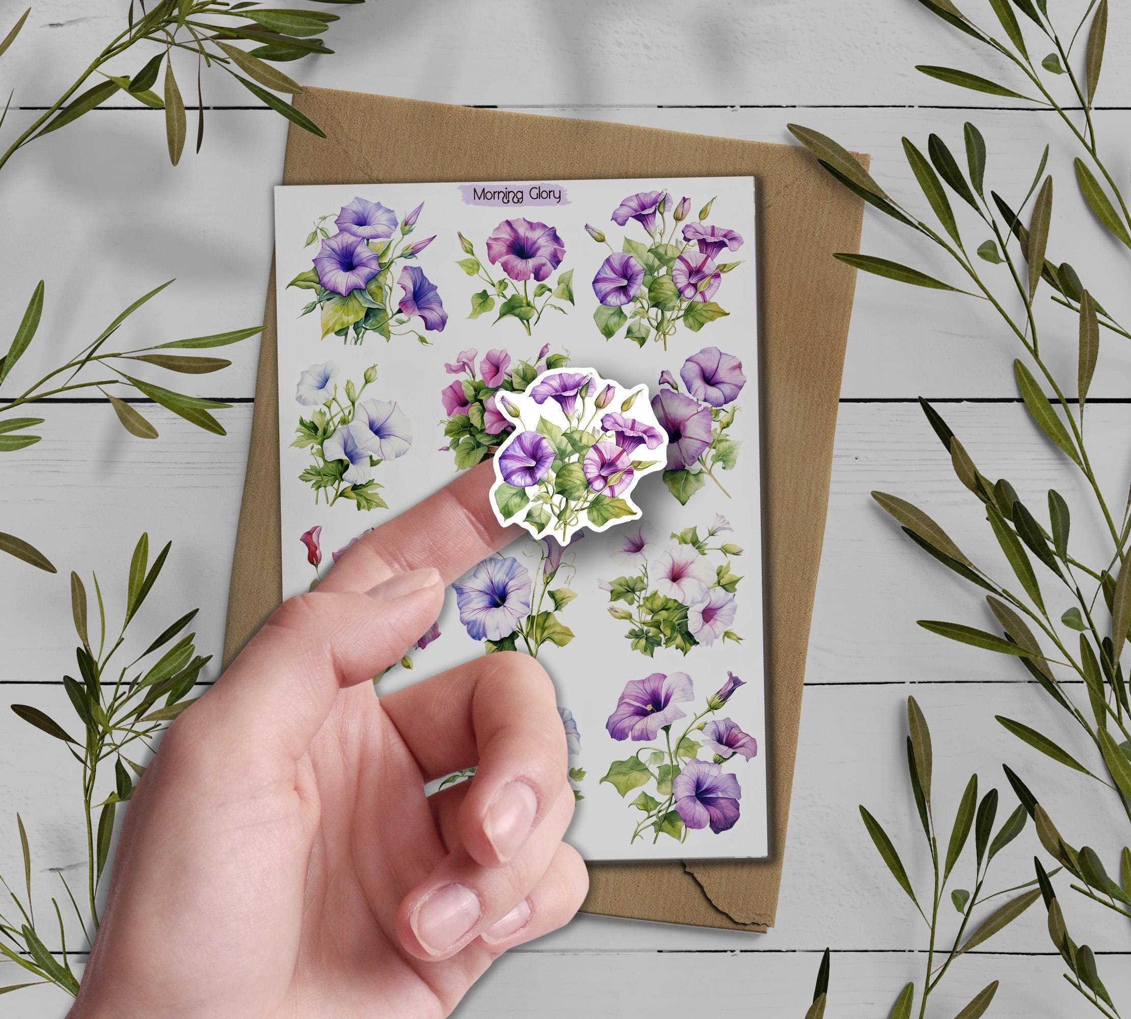 Morning Glory Sticker Pack: Wildflower Scrapbook Stickers