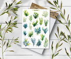 Seaweed Sticker Sheet