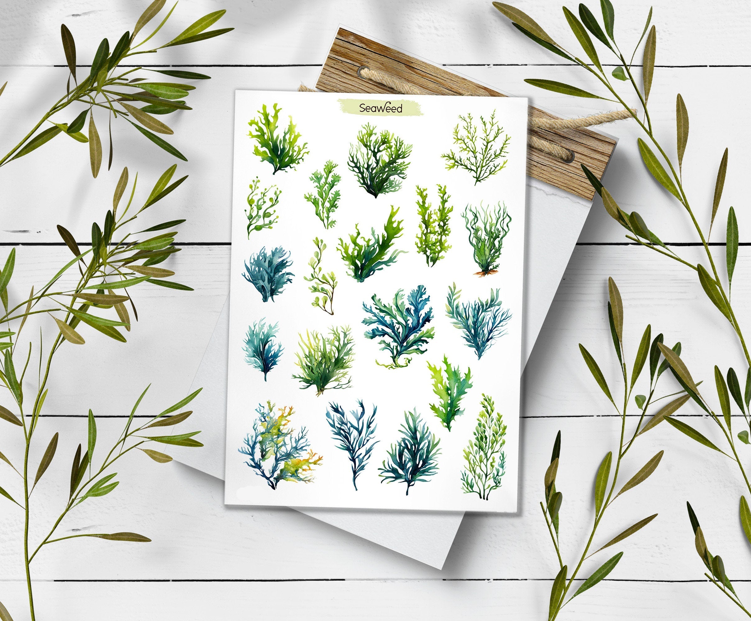 Seaweed Sticker Sheet