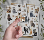 Cats Sticker Sheet
