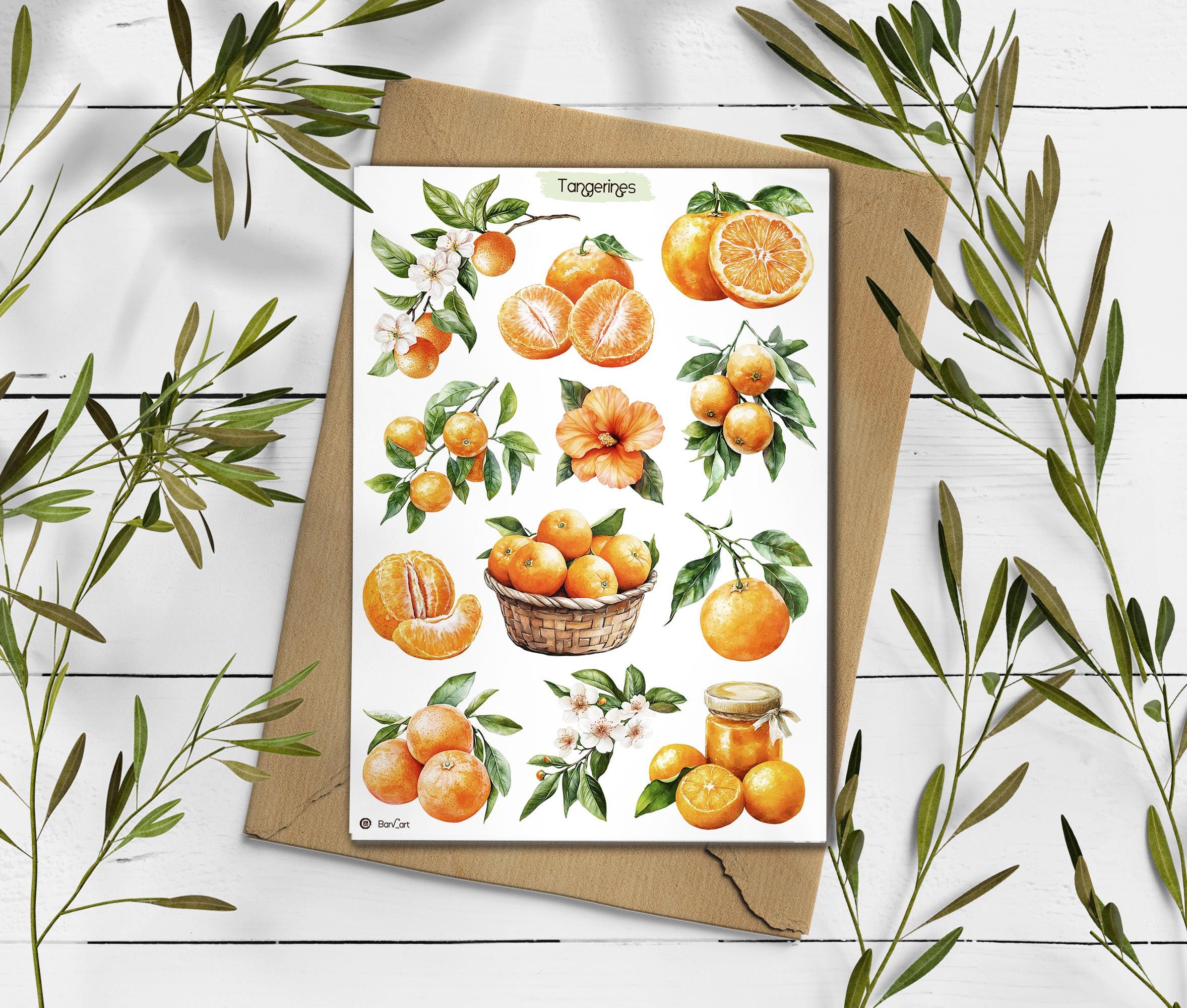 Tangerine Sticker Sheet: Summer Citrus Planner Stickers