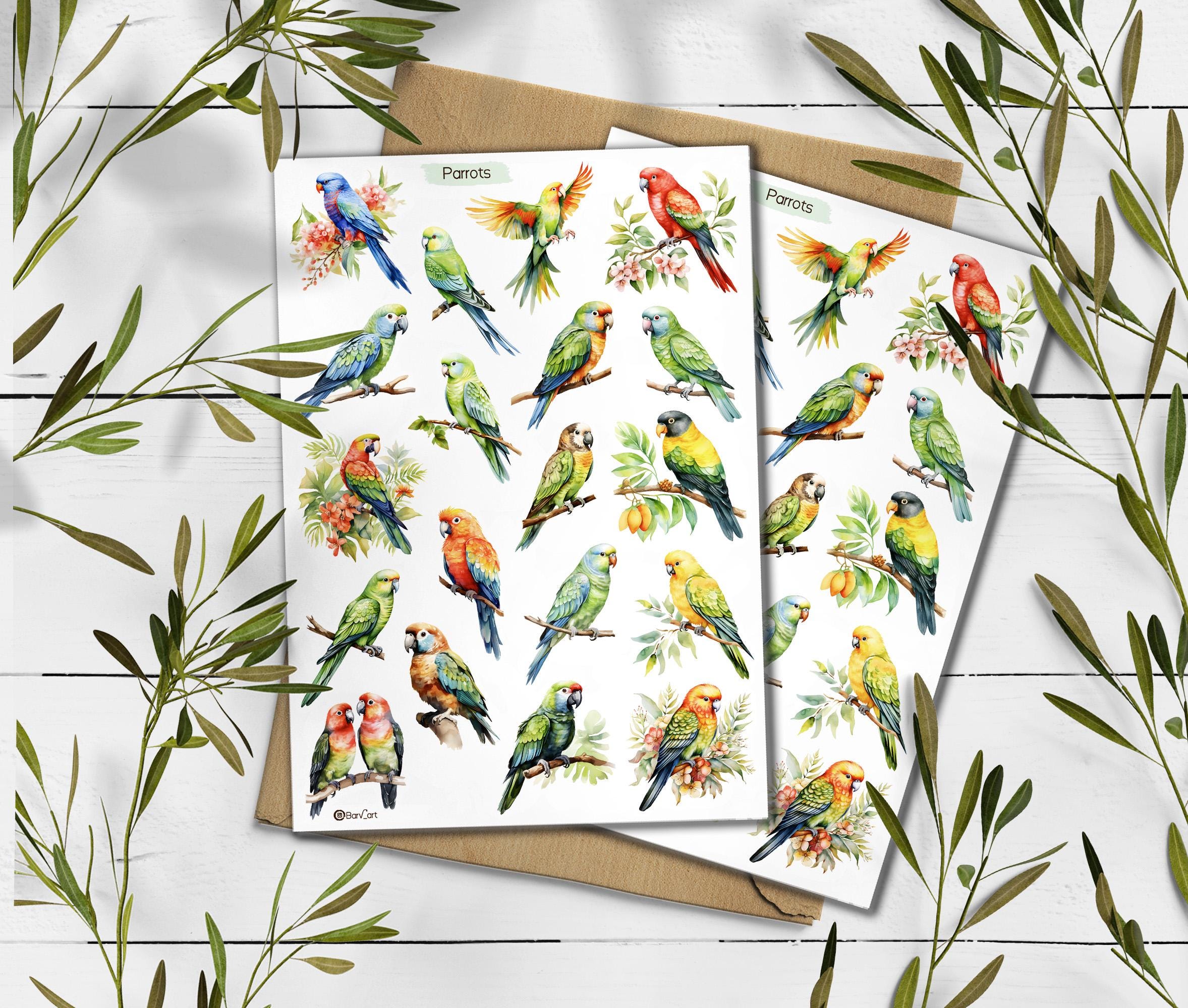 Parrot Watercolour Stickers. Birds Planner Stickers
