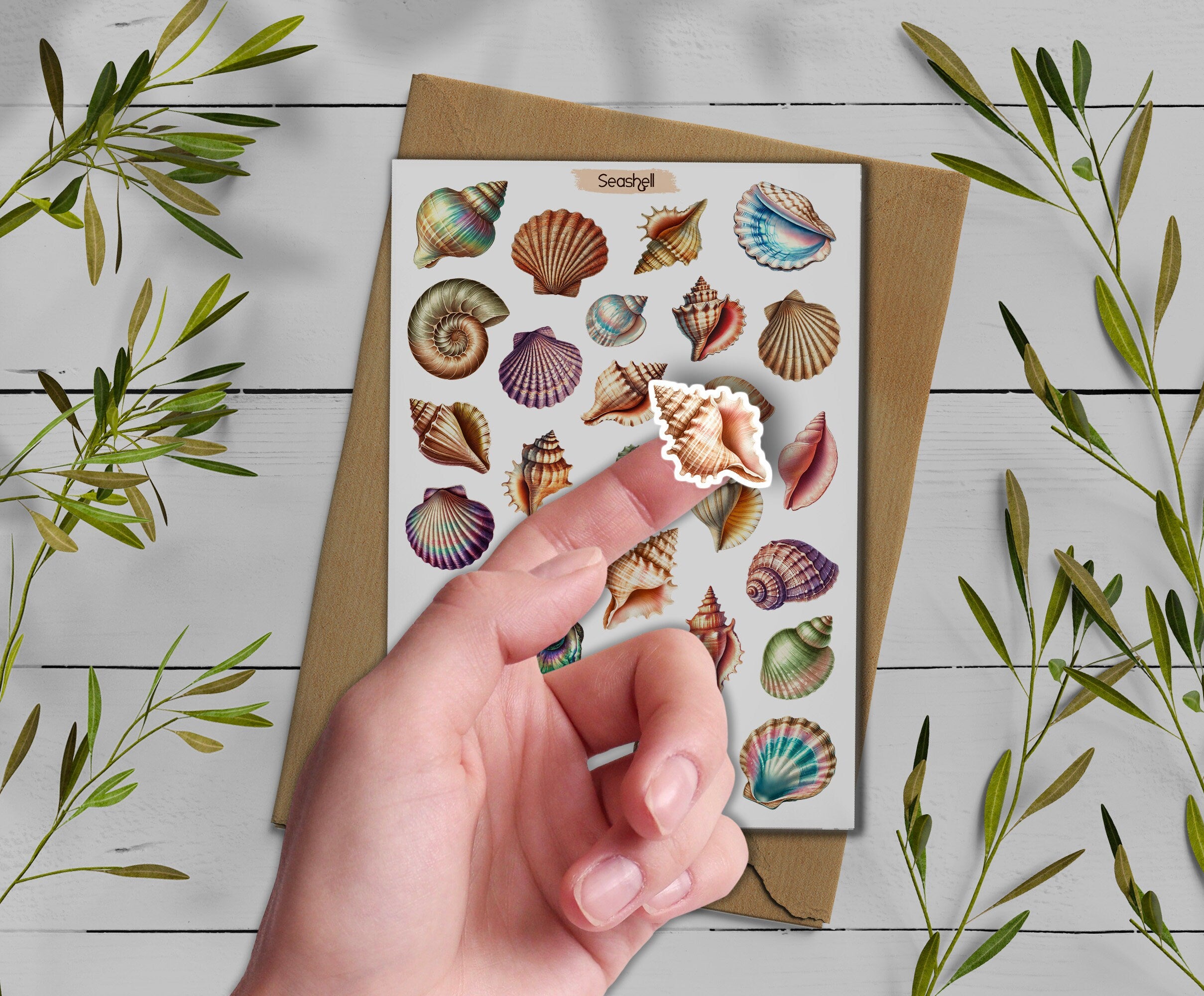 Seashell Sticker Sheet