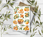 Tangerine Sticker Sheet: Summer Citrus Planner Stickers