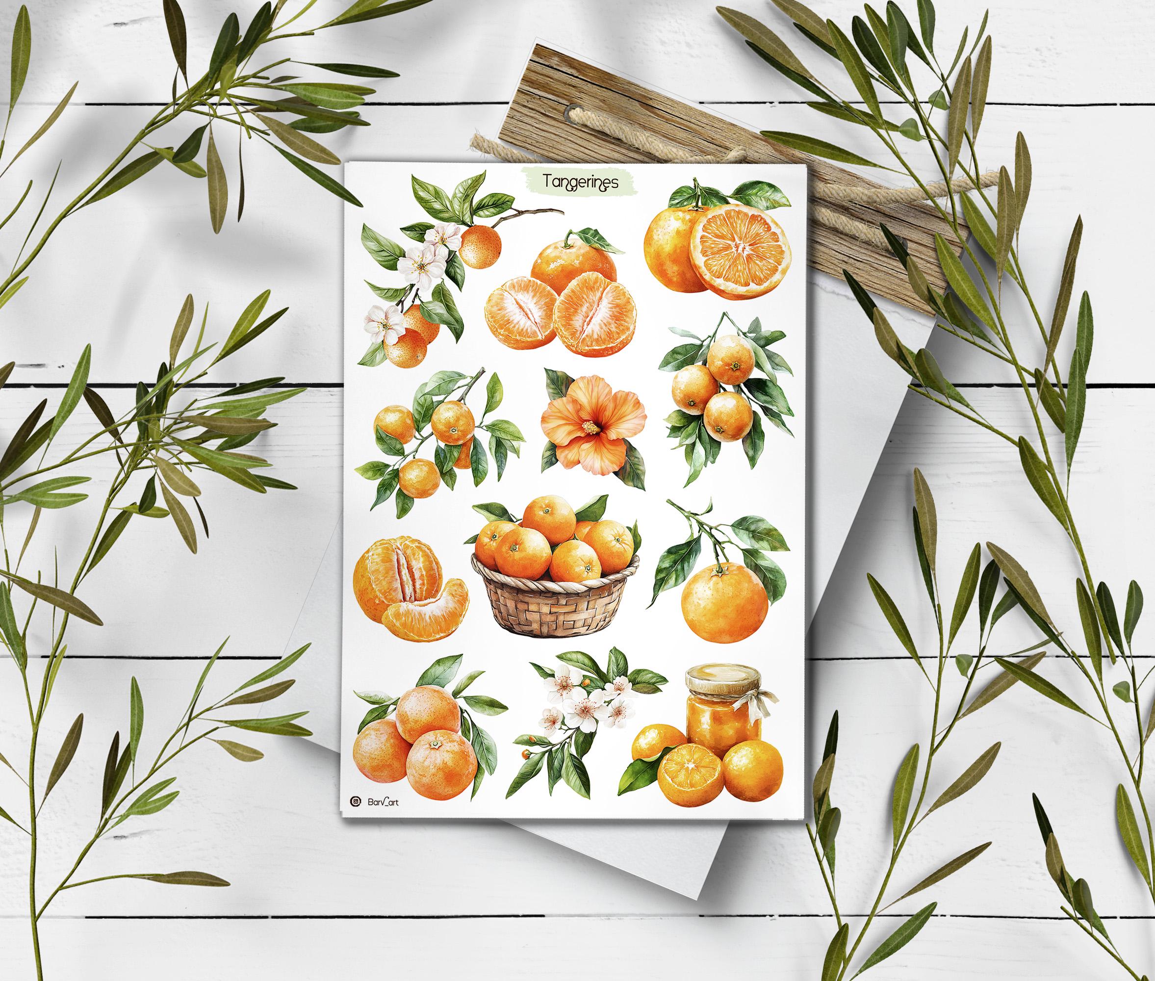 Tangerine Sticker Sheet: Summer Citrus Planner Stickers