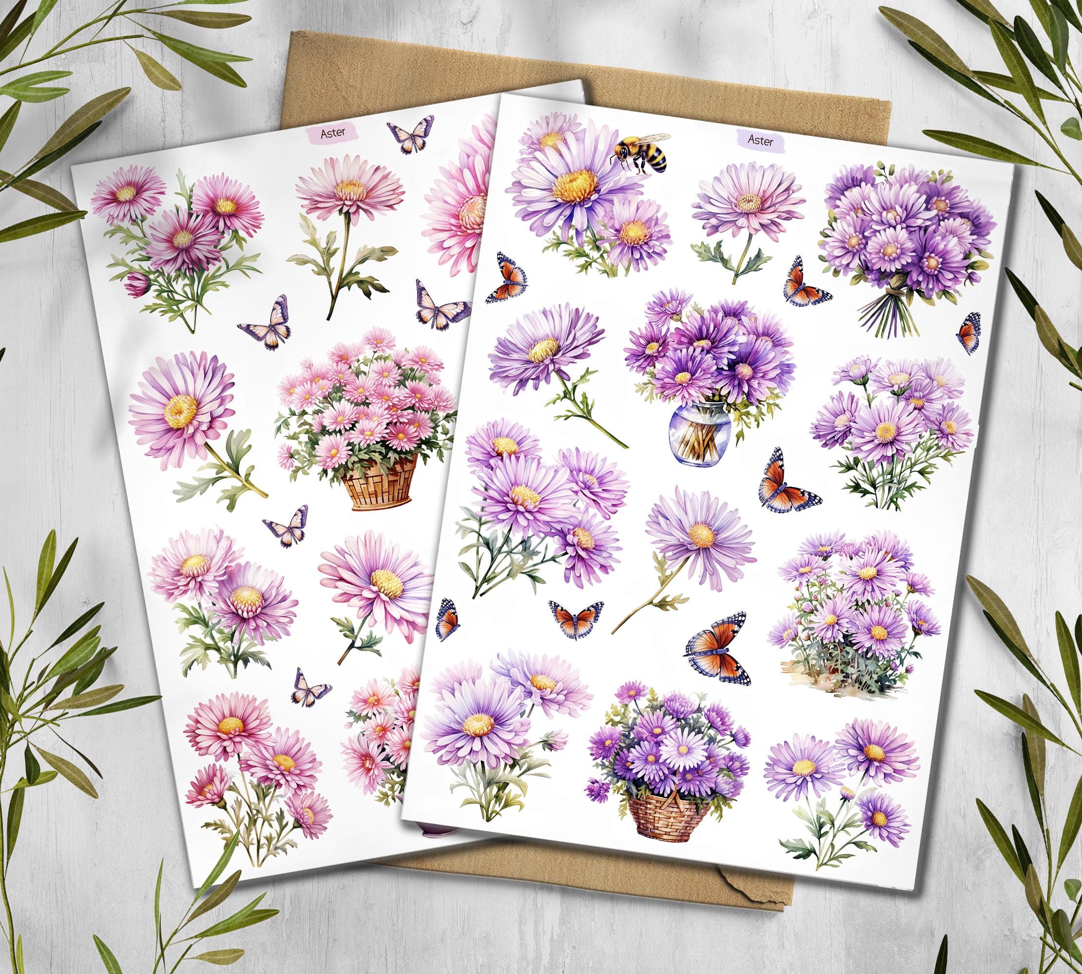 Aster Flower Stickers