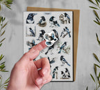 Magpie Stickers 00325