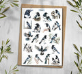 Magpie Stickers 00325