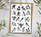 Magpie Stickers 00325