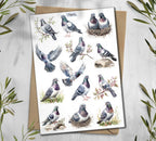 Pigeon Stickers