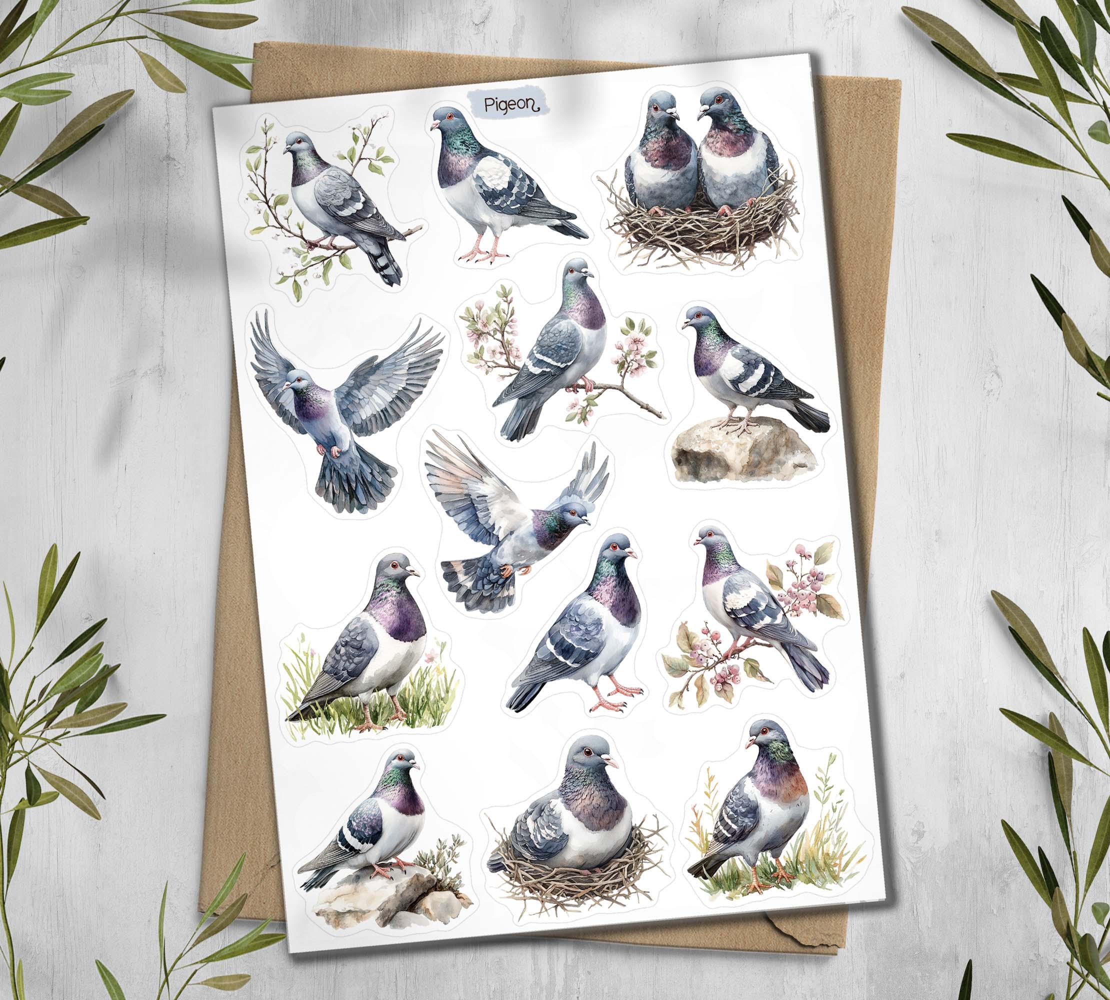Pigeon Stickers