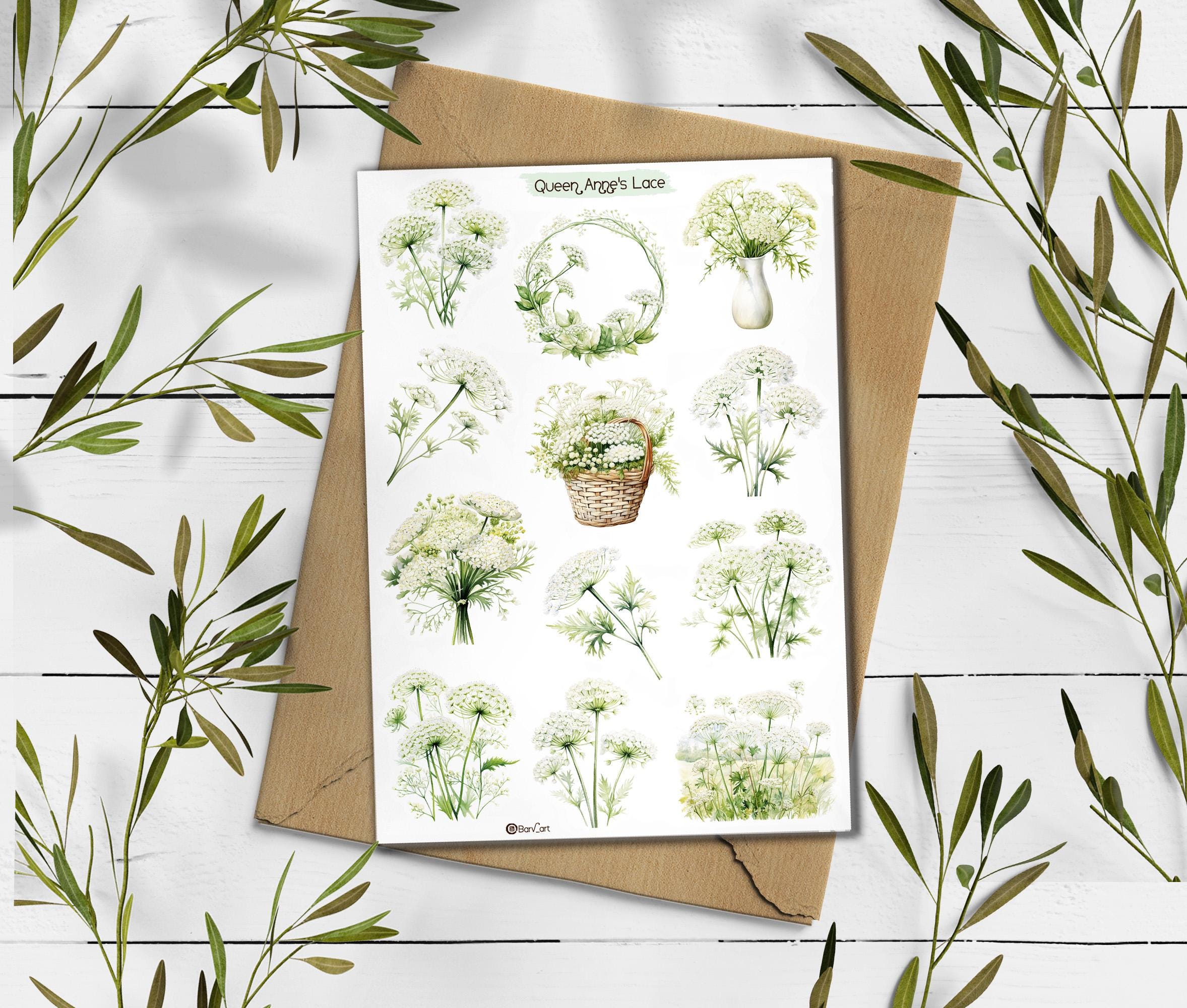 Queen Anne's Lace Sticker Sheet: Wildflower Stickers for Journaling