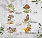 Forest Mushroom Stickers