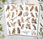 Owl  Stickers (00379)