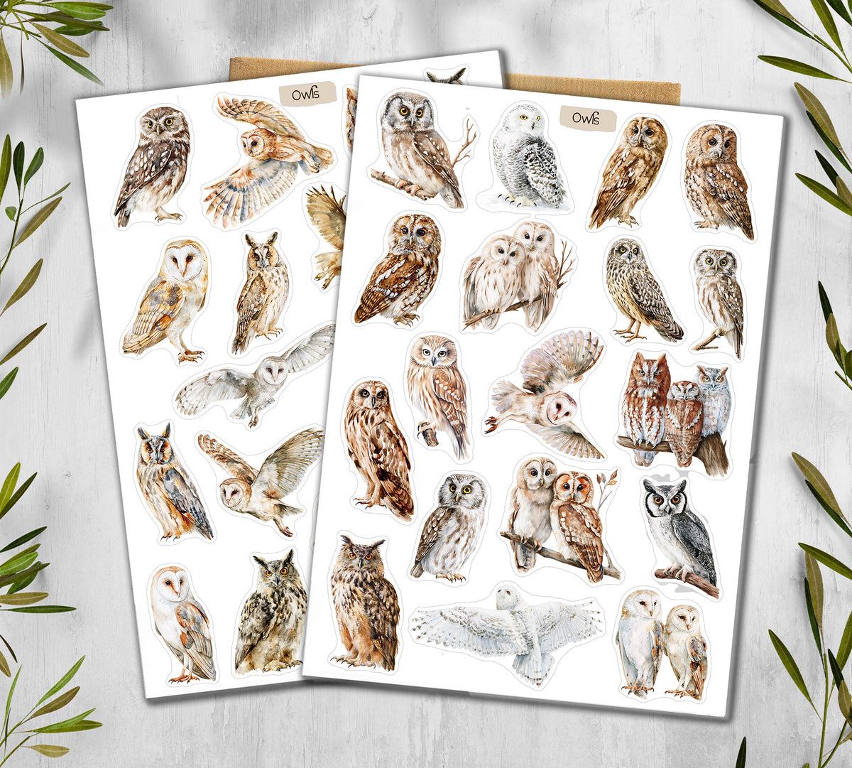 Owl  Stickers (00379)