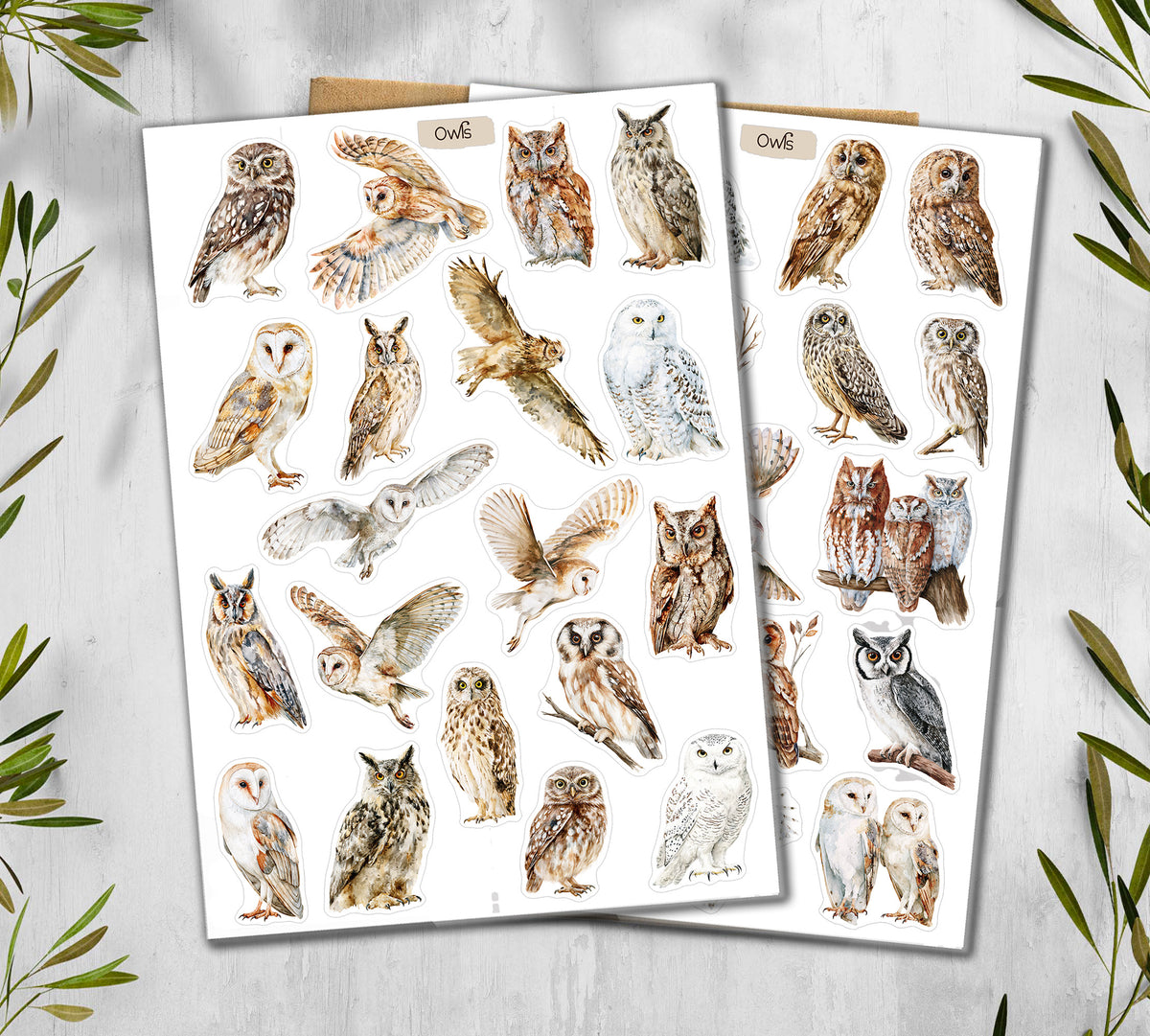 Owl  Stickers (00379)