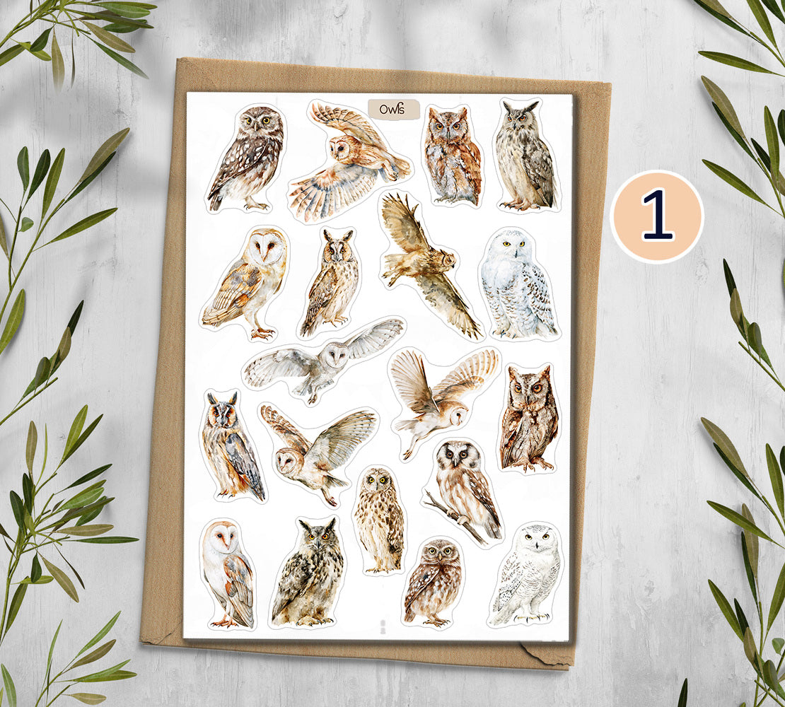 Owl  Stickers (00379)