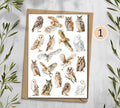 Owl  Stickers (00379)