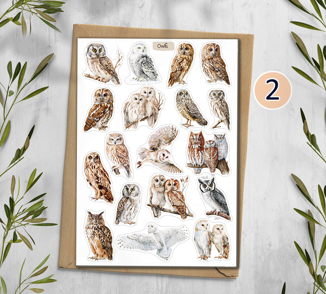 Owl  Stickers (00379)