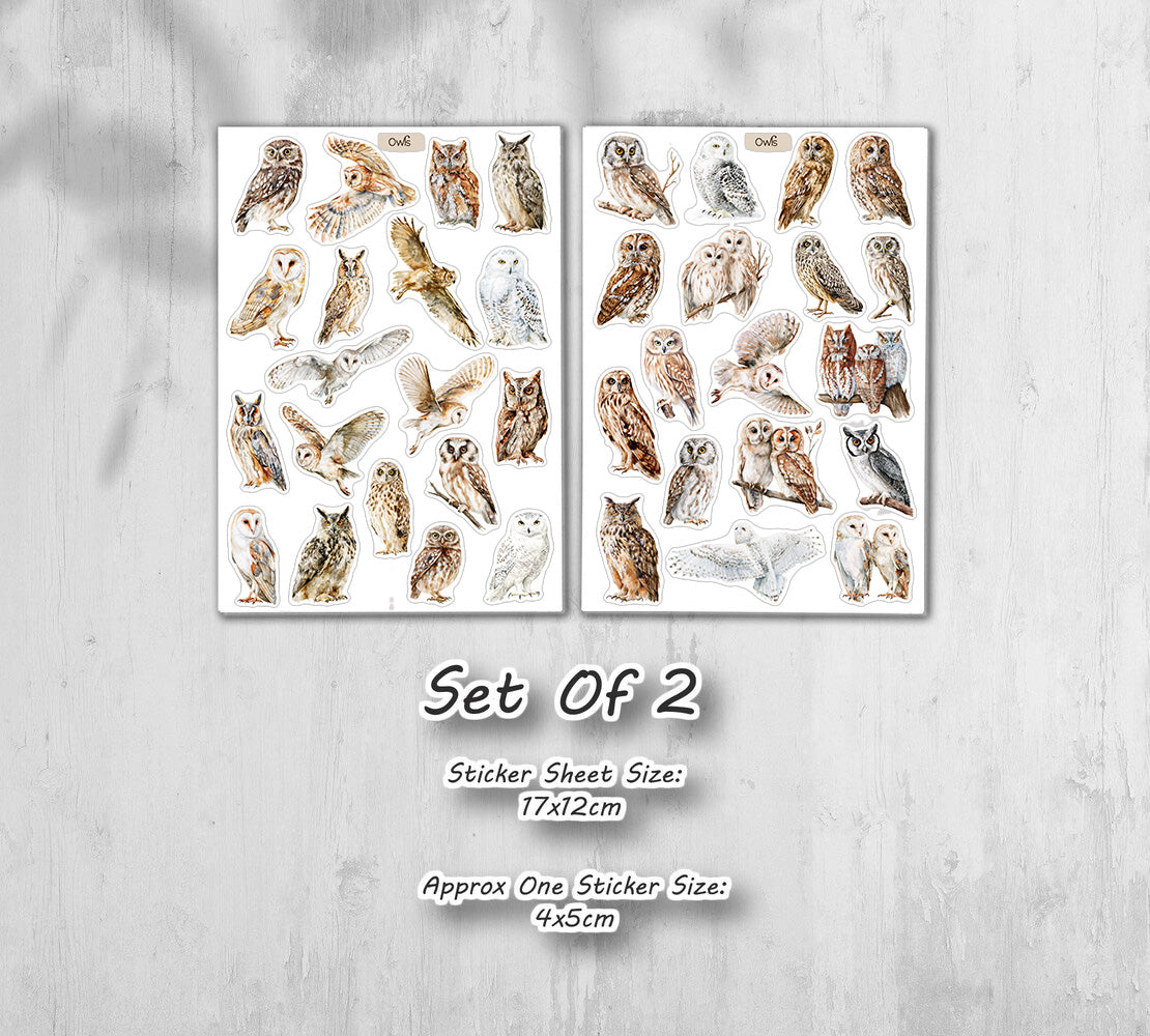 Owl  Stickers (00379)